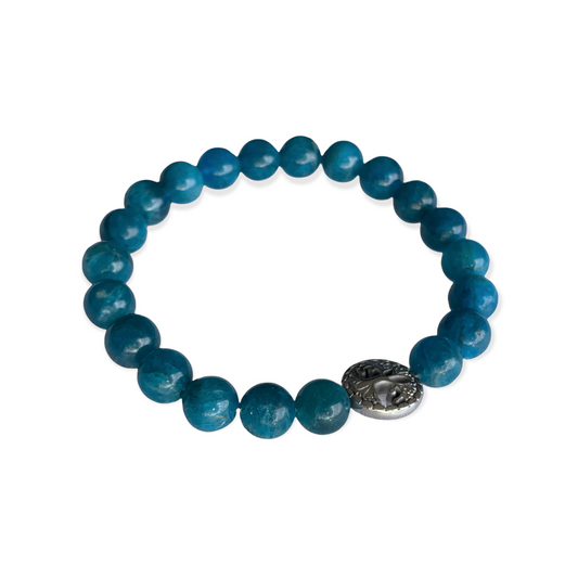 Healing Crystal Bracelets Blue Apatite 8 mm Round Beads