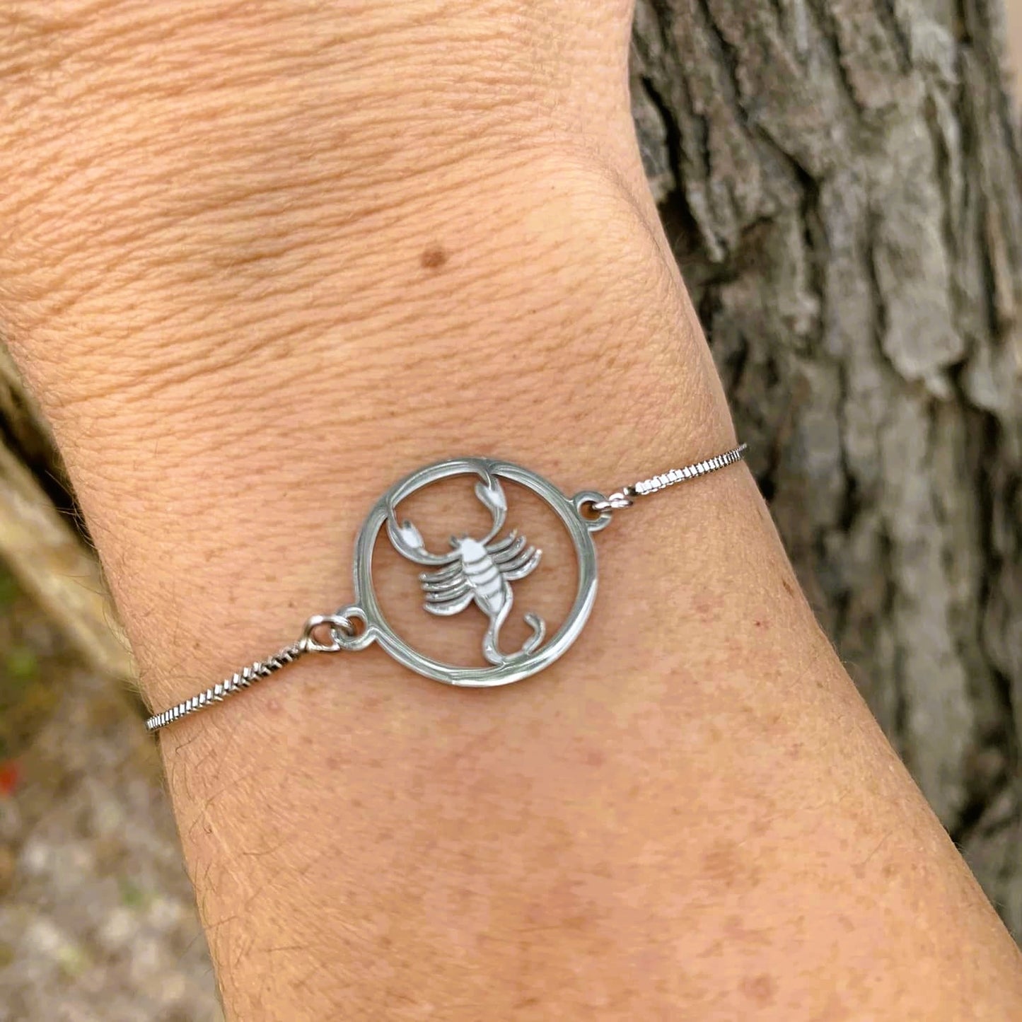 Zodiac Chain Bracelet Astrology Bracelet Adjustable Charm
